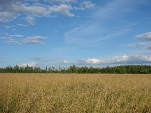 26869 (a): :1024x768